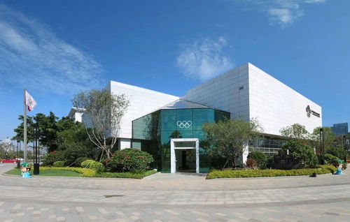 廈門城市職業學院商貿系學生黨支部走進廈門奧林匹克博物館開展主題教育活動